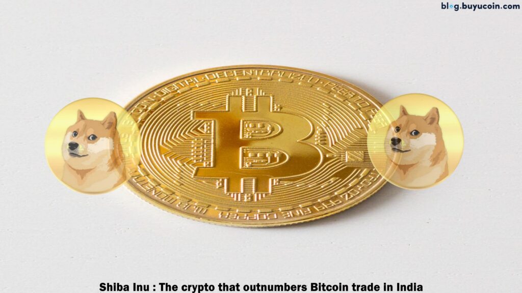 Shiba Inu : The Crypto That Outnumbers Bitcoin Trade in India