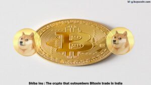 Shiba Inu : The Crypto That Outnumbers Bitcoin Trade in India