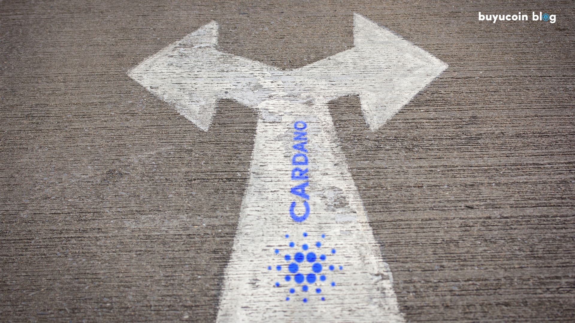 Investor's Guide to Cardano ADA