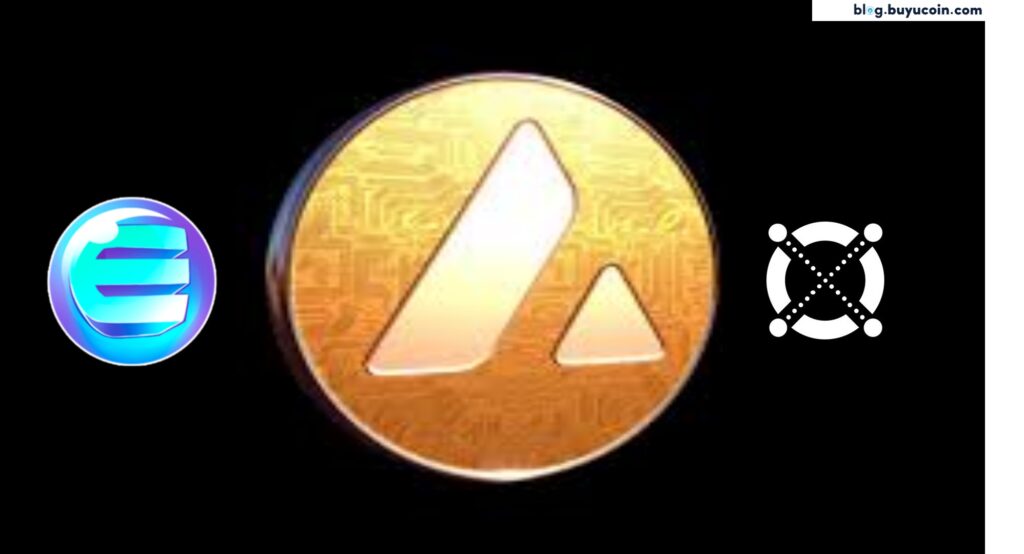 This 'altseason,' Metaverse Coins AVAX, ENJ, and EGLD have all set new all-time highs