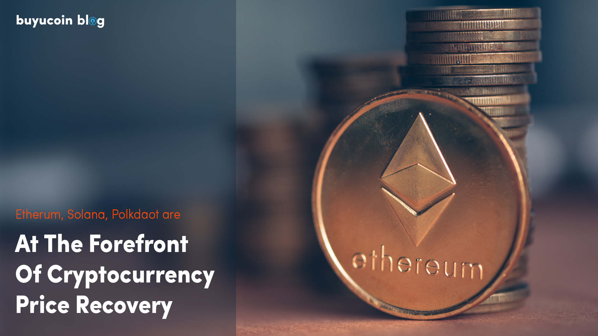 Etherum, Solana, Polkdaot Are At The Forefront Of Cryptocurrency Price Recovery